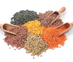 Lentils